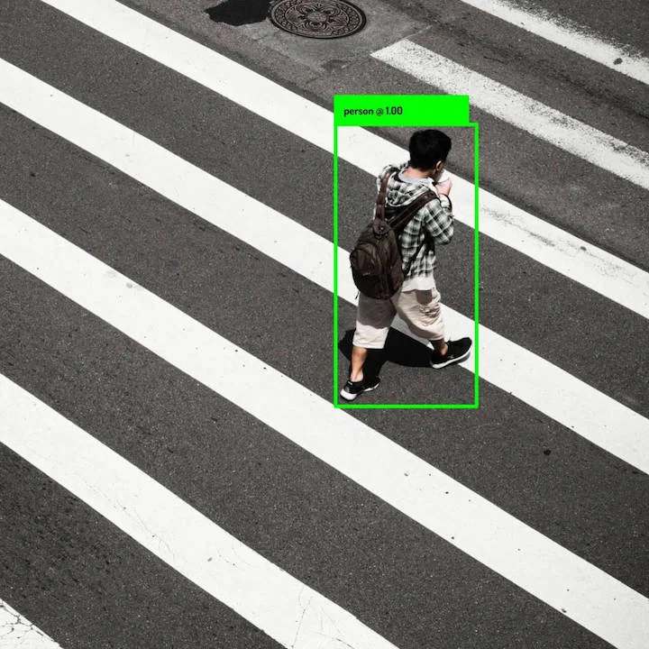 Aerial Human Detector