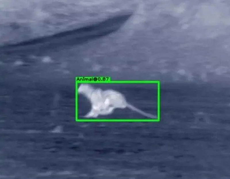 FLIR thermal imaging technology