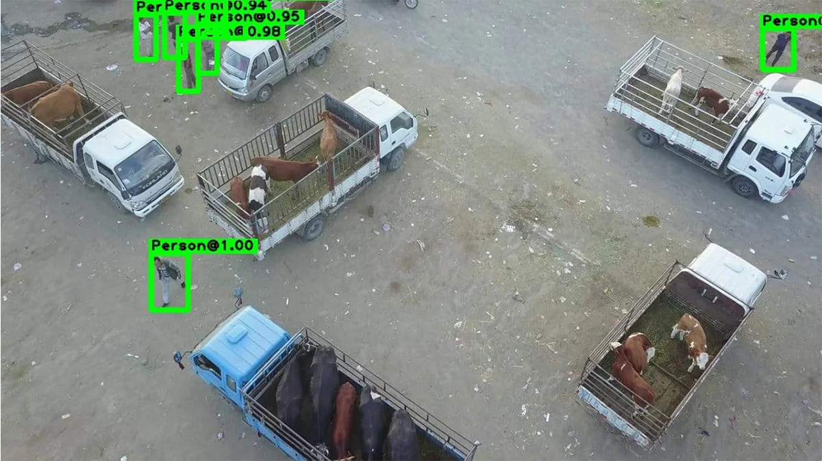 Aerial human detection example 3