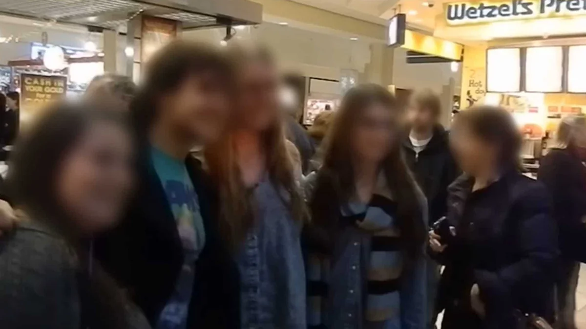 Face anonymizer example 1