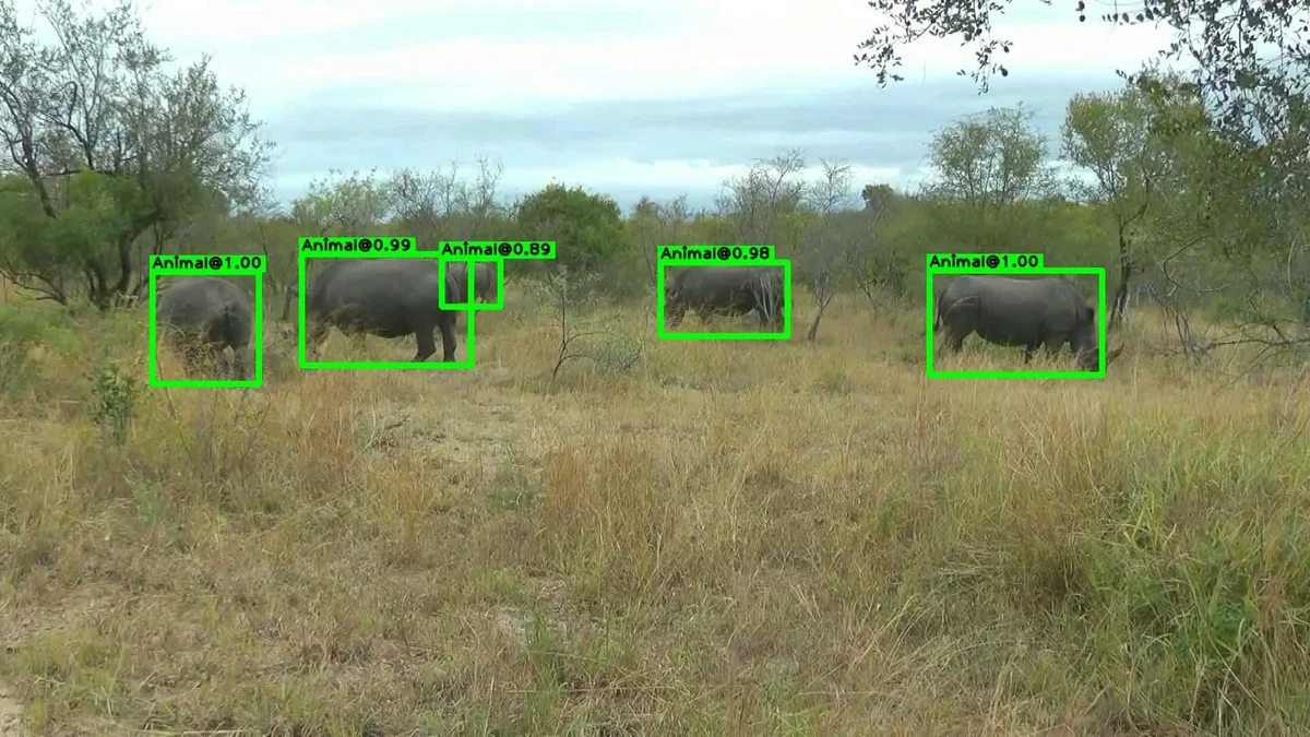 Animal detection example - Kruger wildlife