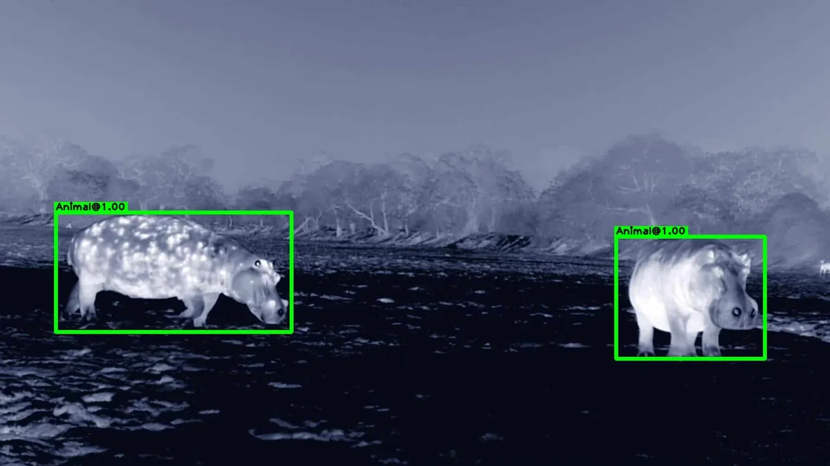 Thermal animal detection example 2